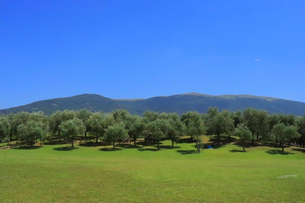 Agriturismo Il Casale Di Monica Rivotorto Buitenkant foto