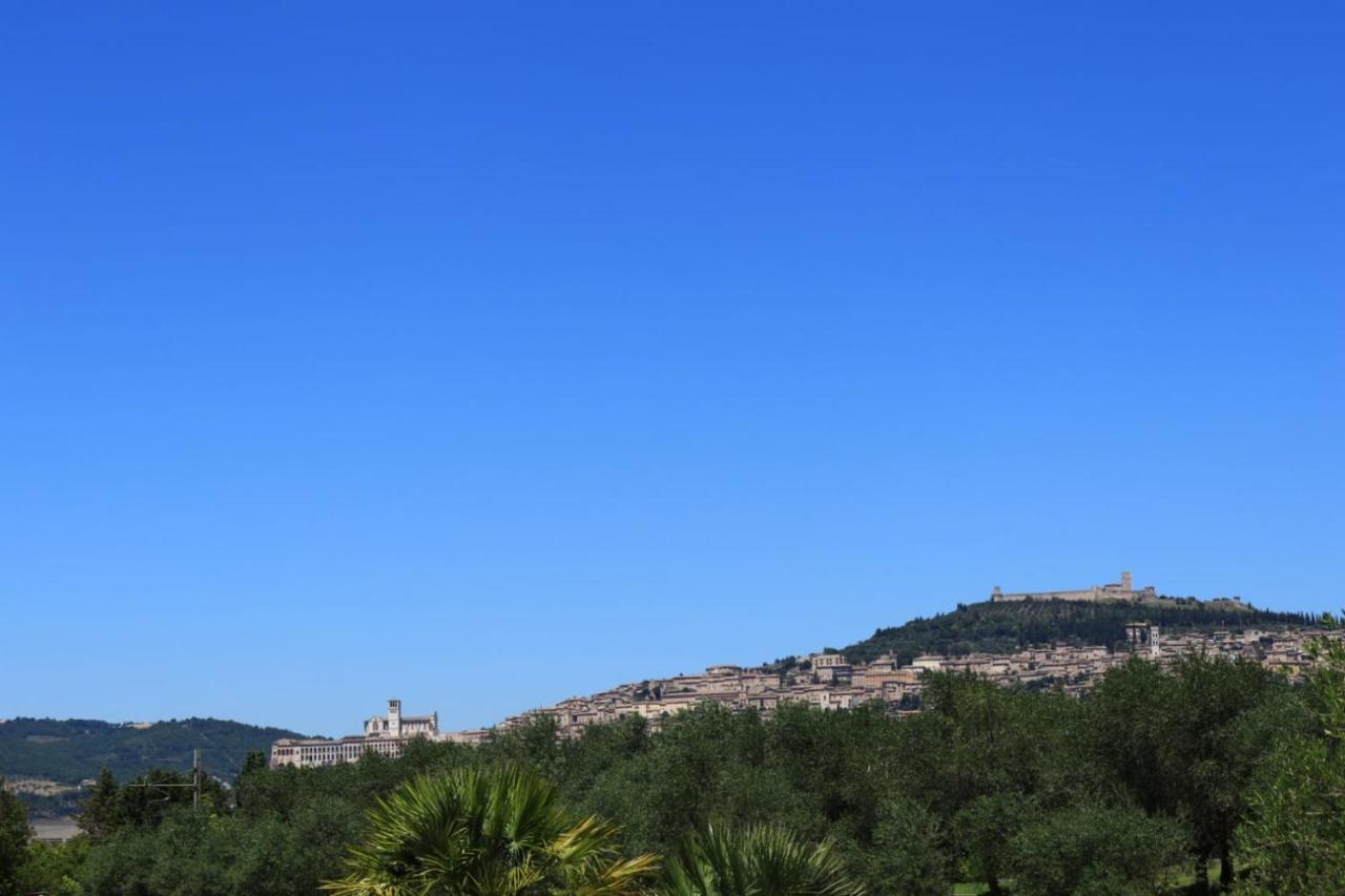Agriturismo Il Casale Di Monica Rivotorto Buitenkant foto